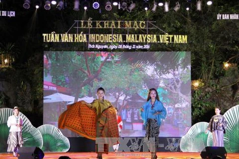 Thai Nguyen hosts Malaysia, Indonesia, Vietnam Culture Week 