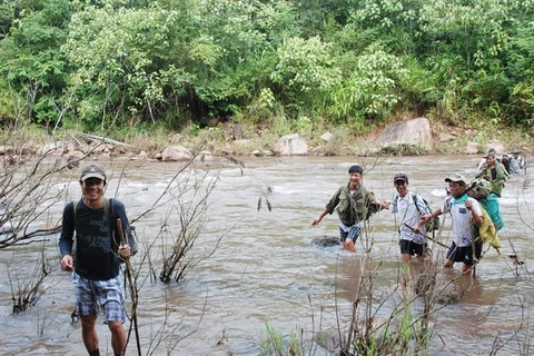 Citizen patrols: good for forests, good for farmers