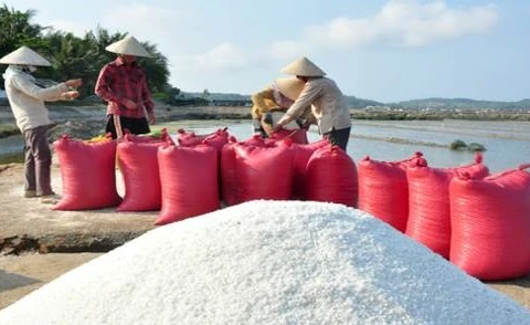 Quality salt production zone planned