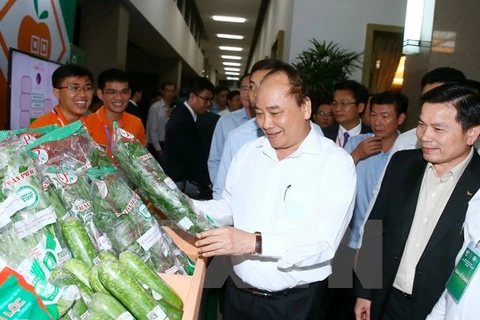 PM urges endeavours to turn Vietnam into agricultural powerhouse 