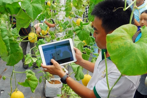 Experts welcome shift in credit policy for hi-tech agriculture