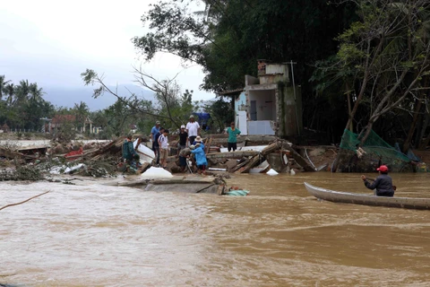 Government allocates rice to flood victims in Binh Dinh