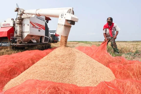 Laos to increase rice exports to China in 2017