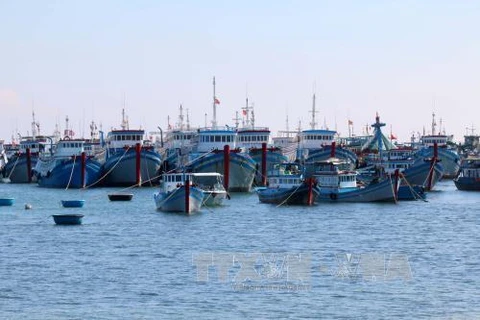 More storm shelter for fishing boats built in Ben Tre