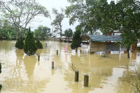 Government supports eight flood-hit localities 