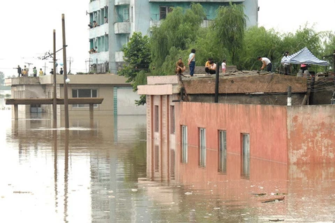 Vietnam Red Cross provides relief aid to DPRK’s flood victims