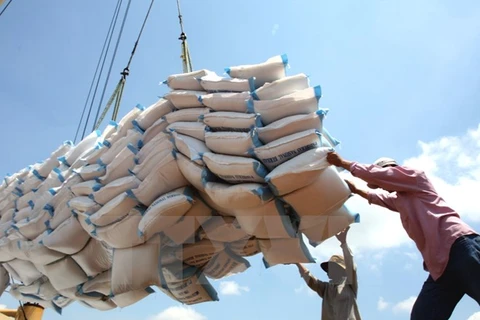 Vietnam earns 2.2 billion USD from rice export this year 