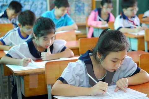 Int'l Kangaroo Math Contest launched in Vietnam