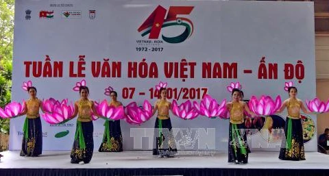 Vietnam-India Culture Week opens in HCM City