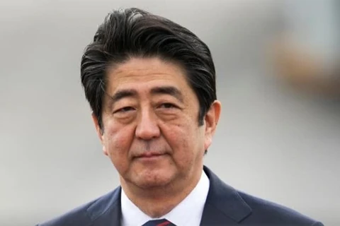 Japanese PM to visit Pacific Rim nations to strengthen ties