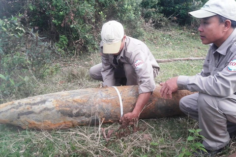 Quang Tri defuses 266kg bomb