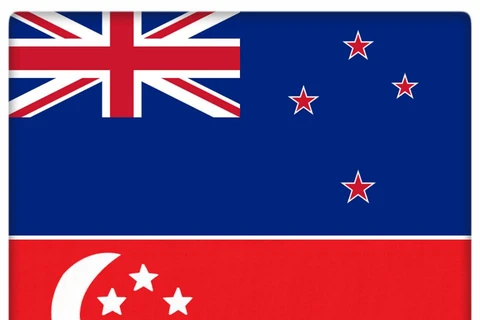 Singapore, New Zealand consolidate defence ties 