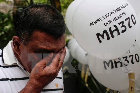 Malaysia allows private search for missing MH370