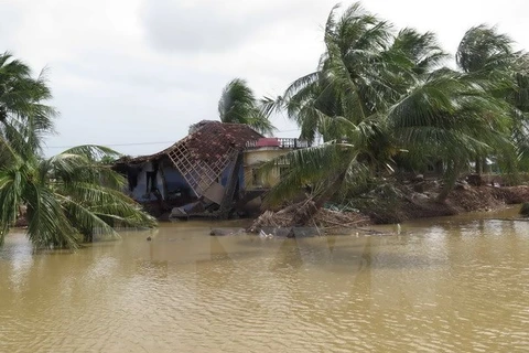 Over 2.6 million USD raised for flood victims via fatherland front 