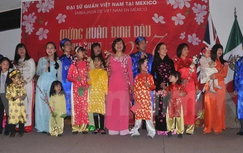 Vietnamese nationals in Mexico celebrate Tet 