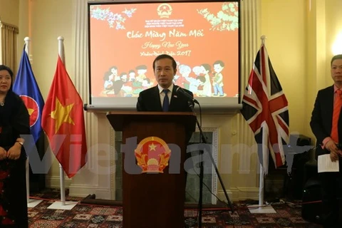 Vietnamese community in UK, Brazil celebrate Tet 