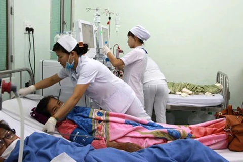 HCM City hospitals prepare for busy Tet holiday