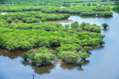 Ramsar sites - “Home” to rare marine species