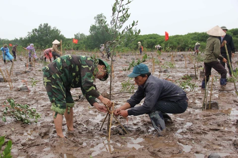 Vietnam stresses wetlands’ role in disaster risk reduction