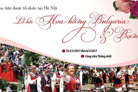 Record rose fest to bloom in Hanoi