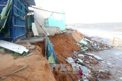 Sea encroachment collapses houses in Binh Thuan