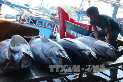 Vietnamese tuna loses competitive edge in Japan due to high taxes