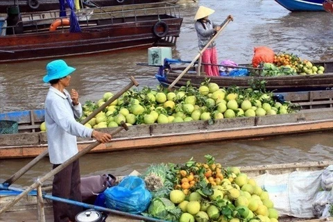 Int’l Mekong Delta agriculture festival slated for March