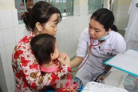 Ca Mau on alert for dengue fever, hand-foot-mouth disease