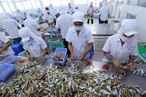 Seafood firms urged to register online