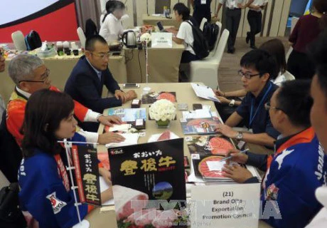 Japanese prefecture seeks opportunity in Vietnam