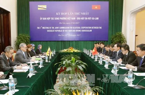 Vietnam-Brunei joint commission’s meeting hailed 