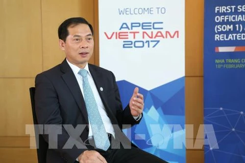 Official: Vietnam makes practical contributions to APEC issues
