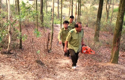 Ministry orders expanded forest-fire protection in dry season