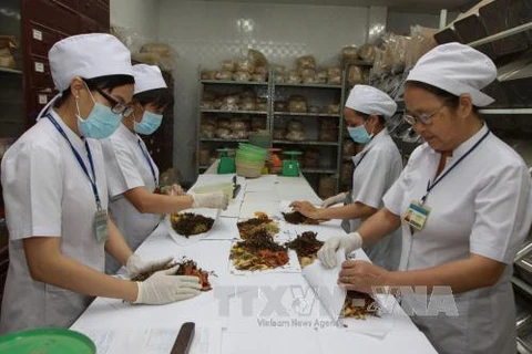 Health Ministry works to increase use of traditional medicine