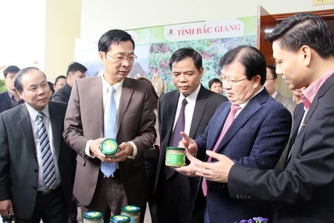 Quang Ninh leads in “One Commune One Product” programme