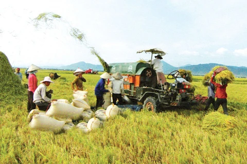 Nghe An strives to have 225 new-style rural communes by 2020