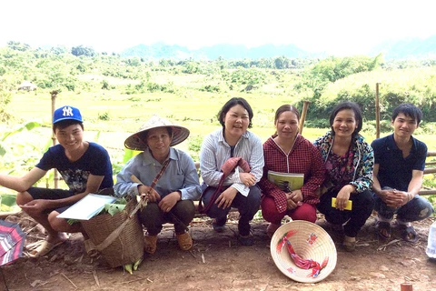 Japanese woman kindles organic cultivation among Vietnamese farmers 