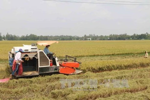 VN agricultural sector urged to modernise technology