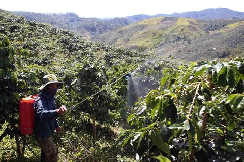 Insiders talk climate, integration-adapted coffee industry