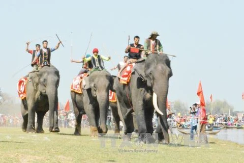 Elephant, boat races held in Buon Ma Thuot coffee festival