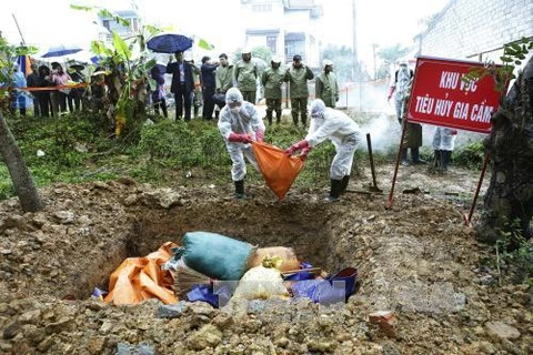 Lang Son holds bird flu prevention drill 