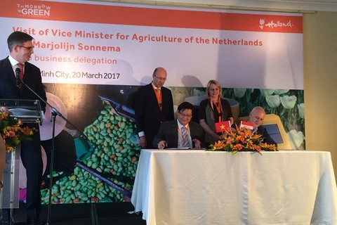 VN, Netherlands to up agriculture ties