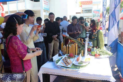 Gia Lai week of culture, cuisine and horserace opens