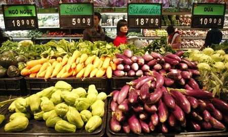  Vietnam eyes organic food potential
