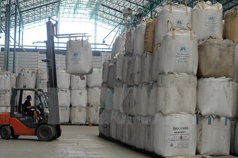 Indonesia to export rice to Malaysia 
