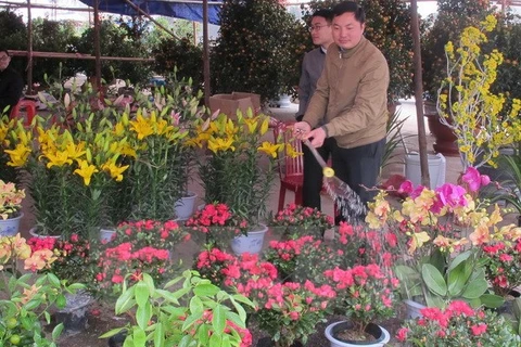 Japanese floriculture firm to invest in Lam Dong 