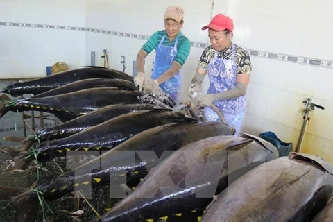 Tien Giang strives to catch 98,000 tonnes of seafood this year
