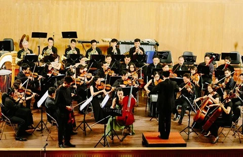 Two concerts feature artists of Vietnam, RoK