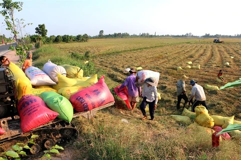 Land accumulation must benefit farmers: Deputy PM