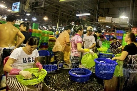 HCM City boosts international cooperation in expanding Binh Dien market